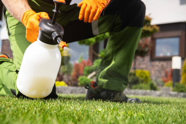 Best Pest Control for Homes  in Interlachen, FL