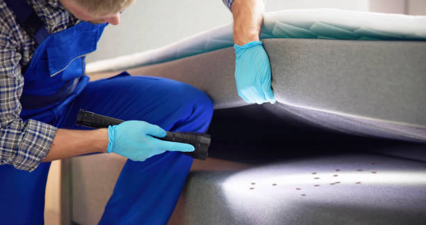 Best Flea Control Services  in Interlachen, FL