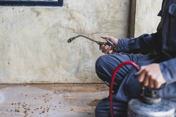 Best Mosquito Control Services  in Interlachen, FL